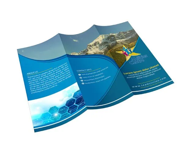 8.5 x 11 Brochures