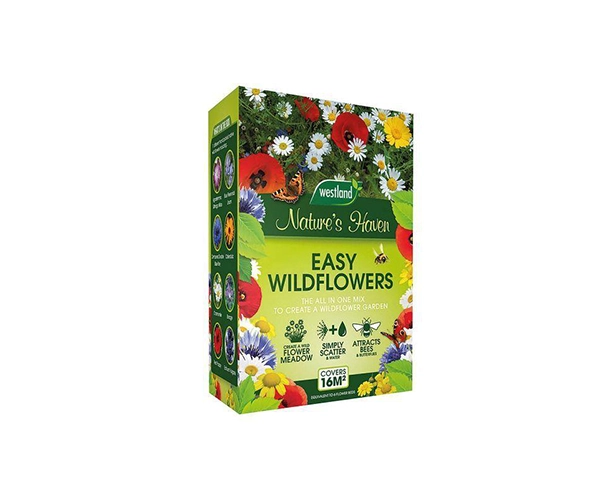 Custom Wildflower Seed Boxes Packaging