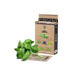 Custom Basil Seeds Boxes