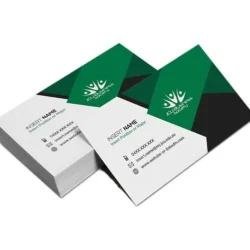 Standard Business Cards