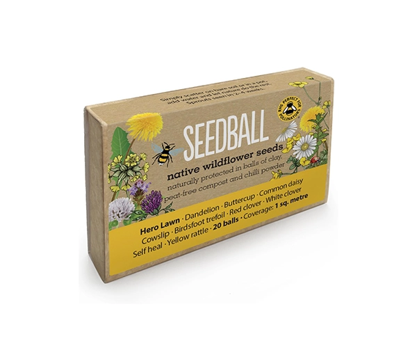 Custom Wildflower Seed Boxes