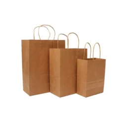 Custom Brown Kraft Bags
