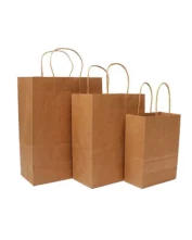 Custom Brown Kraft Bags