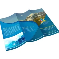8.5 x 11 Brochures