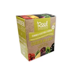 Custom Vegetable Seed Boxes Wholesale