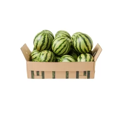 Watermelon Seed Boxes