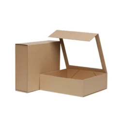 Cardboard Window Boxes