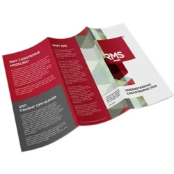 11 x 17 Brochures