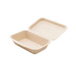 Disposable Food Container